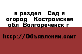  в раздел : Сад и огород . Костромская обл.,Волгореченск г.